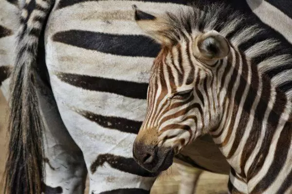 Fotos del hotel San Juan:  13