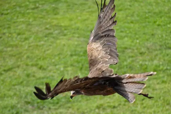 Fotos del hotel San Juan:  7