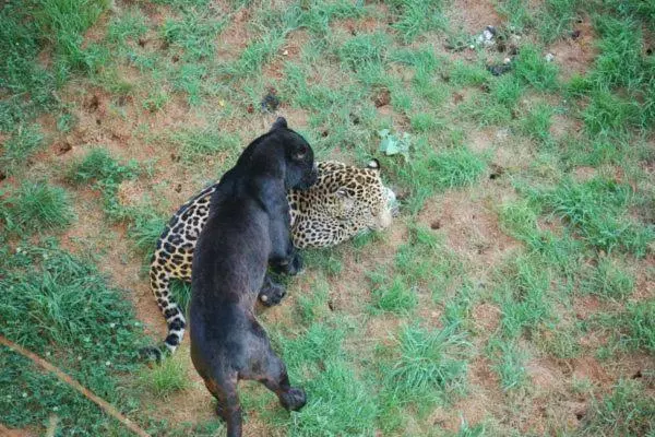 Fotos del hotel San Juan:  24