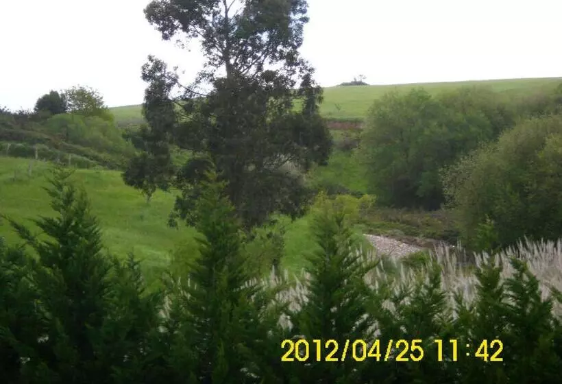 Fotos del hotel San Juan:  18