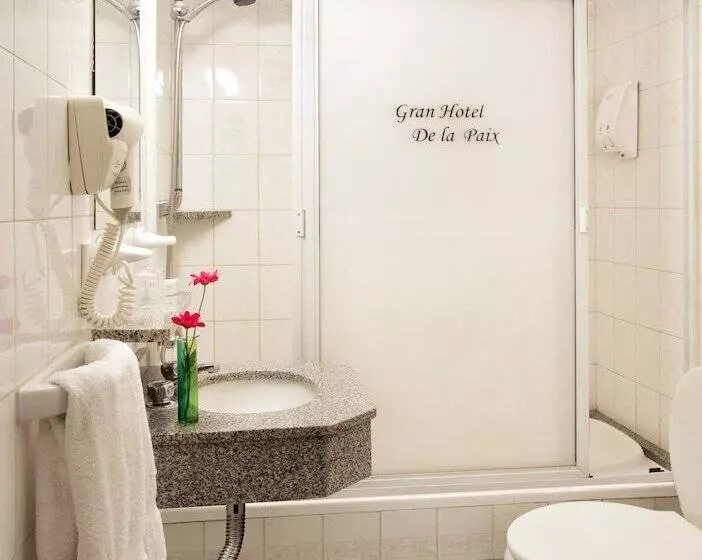 Fotos del hotel Gran Hotel De La Paix:  6
