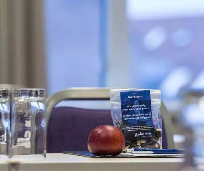 Fotos del hotel Radisson Blu Scandinavia  Aarhus:  11