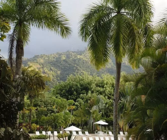 Fotos del hotel Estelar Altamira:  9