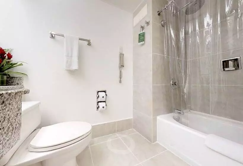 Fotos del hotel Estelar Altamira:  19