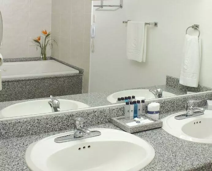 Fotos del hotel Estelar Altamira:  17