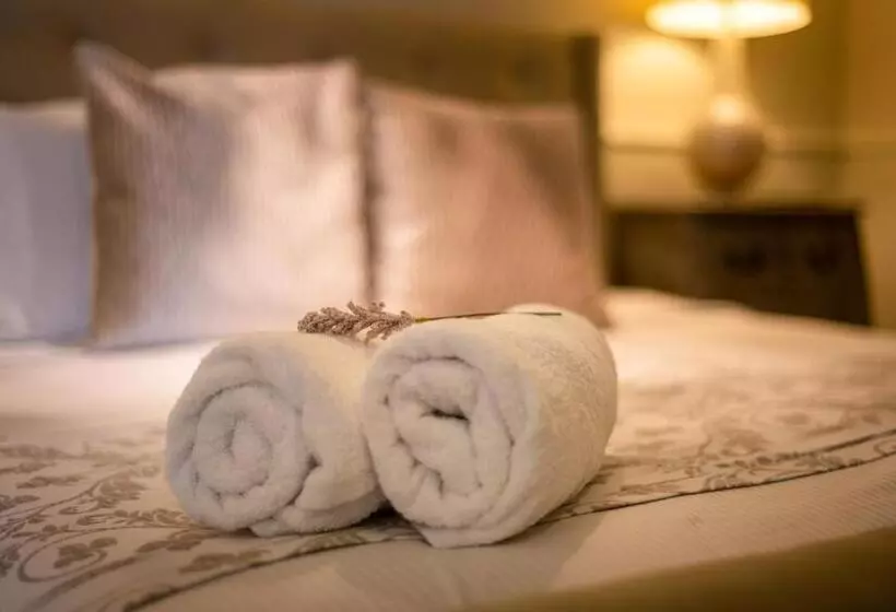 Fotos del hotel Hodelpa Caribe Colonial:  19