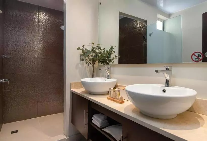 Fotos del hotel Hodelpa Caribe Colonial:  15