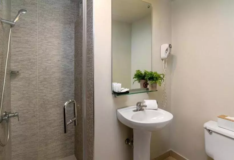 Fotos del hotel Hodelpa Caribe Colonial:  14