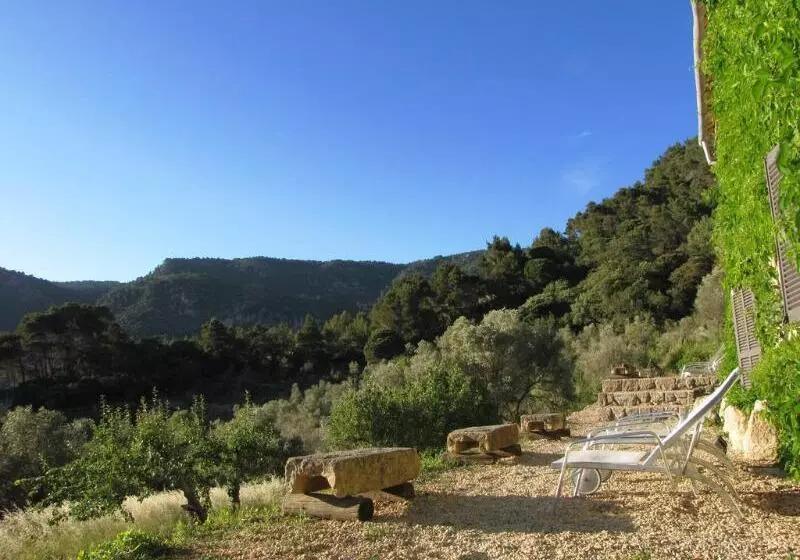 Fotos del hotel Mirabó De Valldemossa:  15