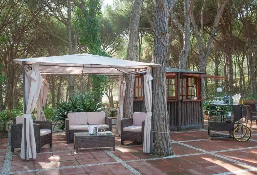 Fotos del hotel Garbi:  12