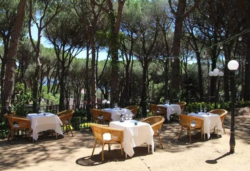 Fotos del hotel Garbi:  16