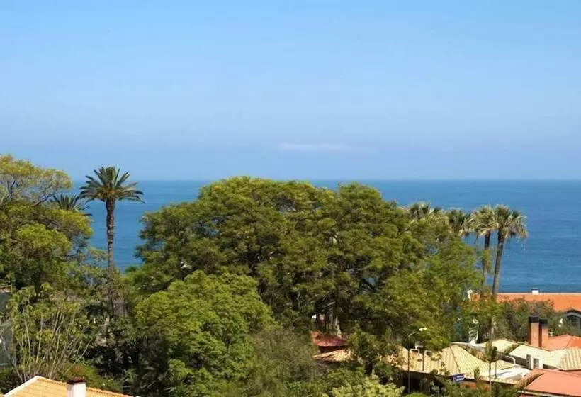 Fotos del hotel Terrace Mar Suite:  6