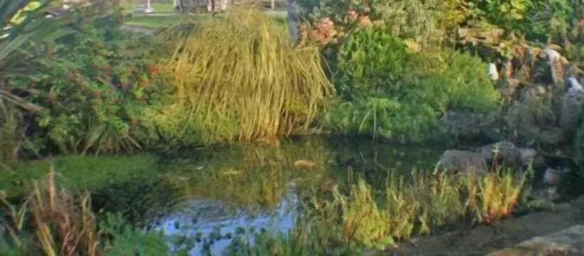 Fotos del hotel Corrib Haven:  4