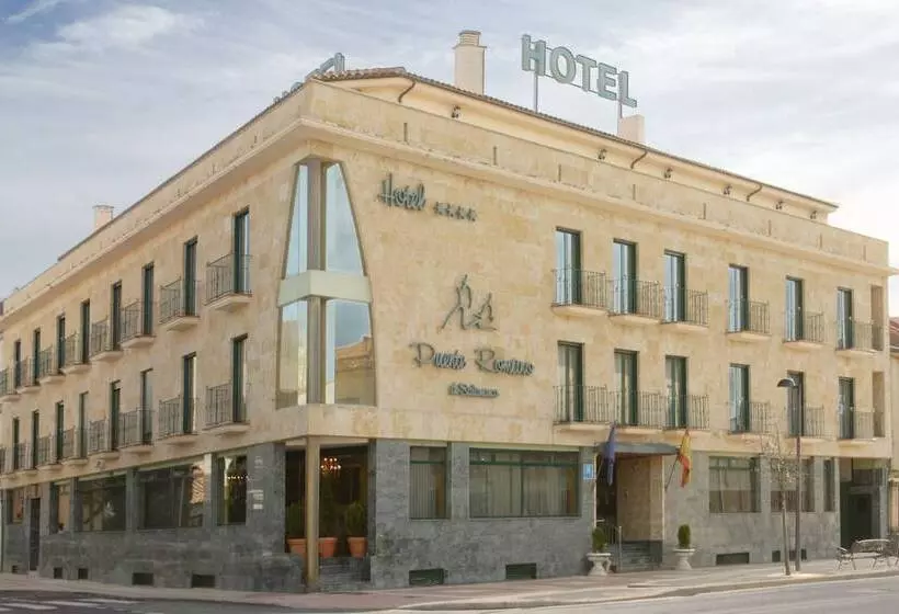 Puente Romano De Salamanca