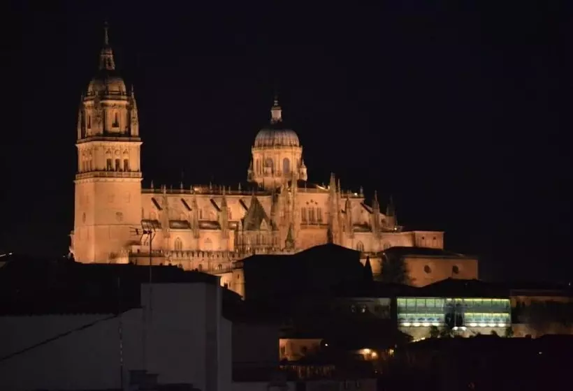 Fotos del hotel Puente Romano De Salamanca:  21