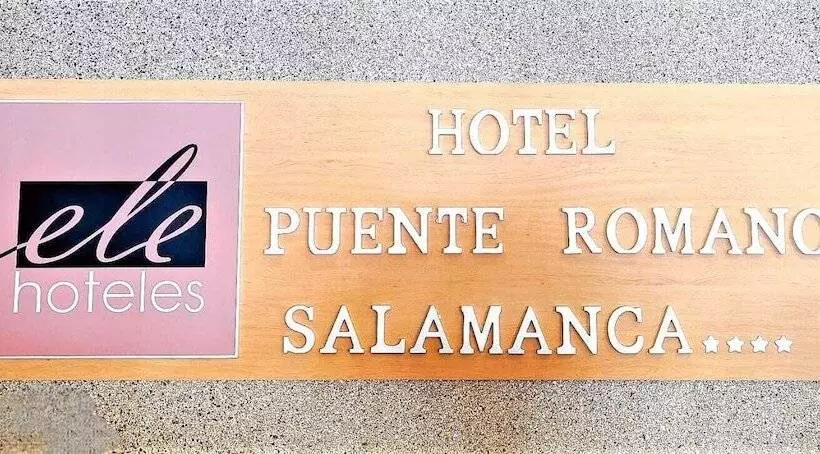 Fotos del hotel Puente Romano De Salamanca:  26