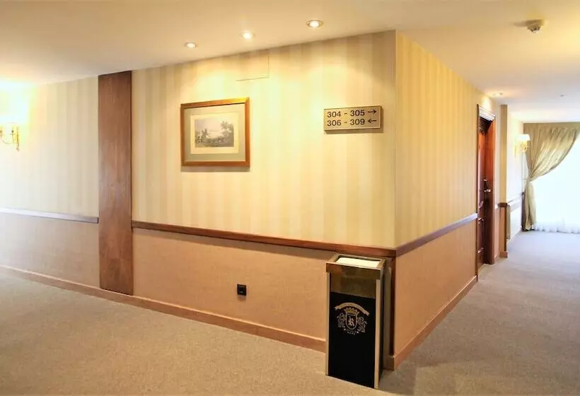 Fotos del hotel Puente Romano De Salamanca:  8