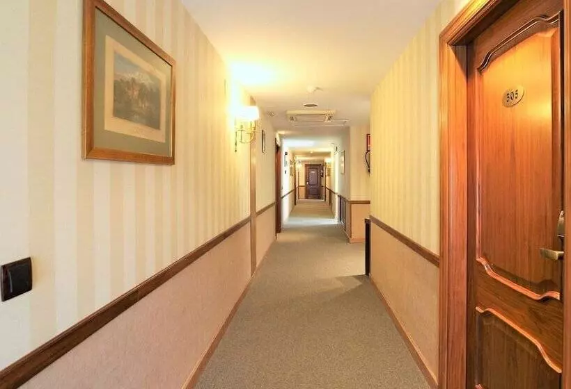 Fotos del hotel Puente Romano De Salamanca:  9