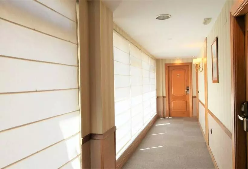 Fotos del hotel Puente Romano De Salamanca:  10