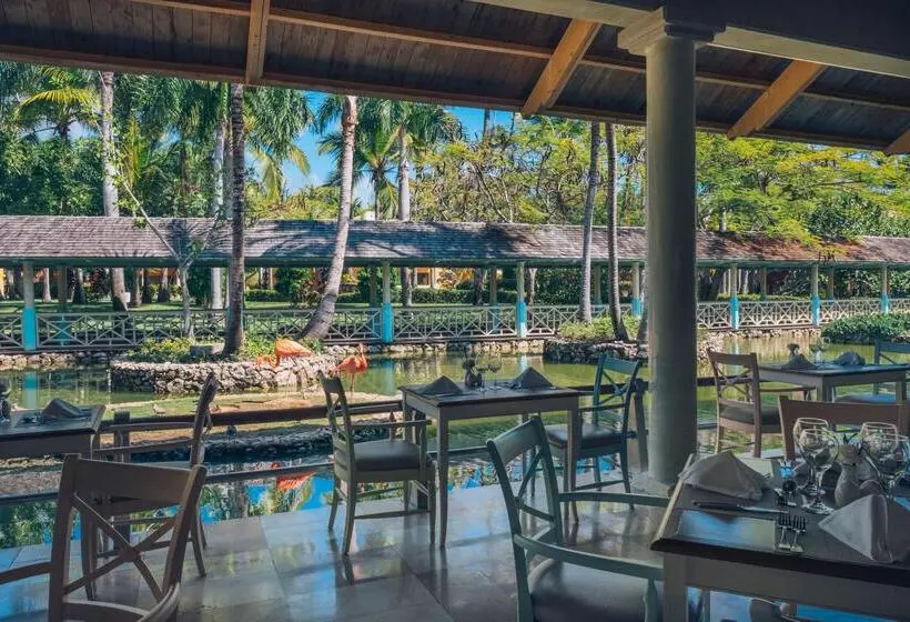 Fotos del hotel Iberostar Selection Bavaro Suites:  39