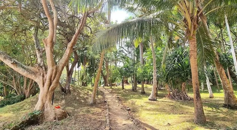 Fotos del hotel Protea  By Marriott Zanzibar Mbweni Ruins:  20