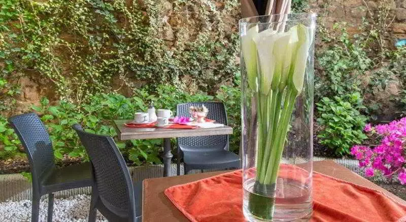 Fotos del hotel Aurora:  3