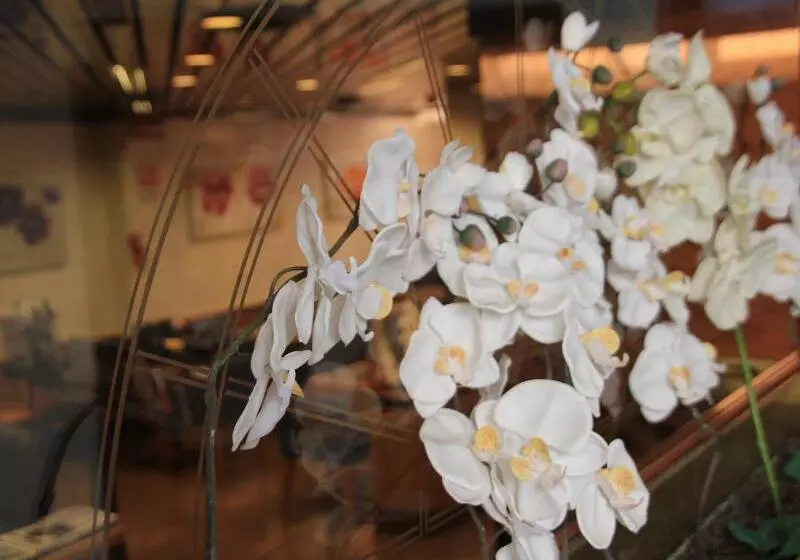 Fotos del hotel Lido:  11