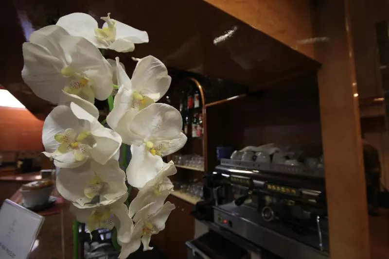 Fotos del hotel Lido:  8