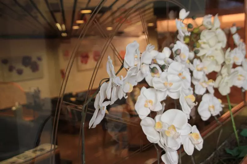 Fotos del hotel Lido:  13