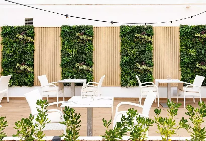 Fotos del hotel Hsm Venus Playa:  6