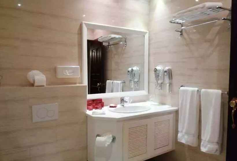 Fotos del hotel Boutique Hotel Palacio:  17