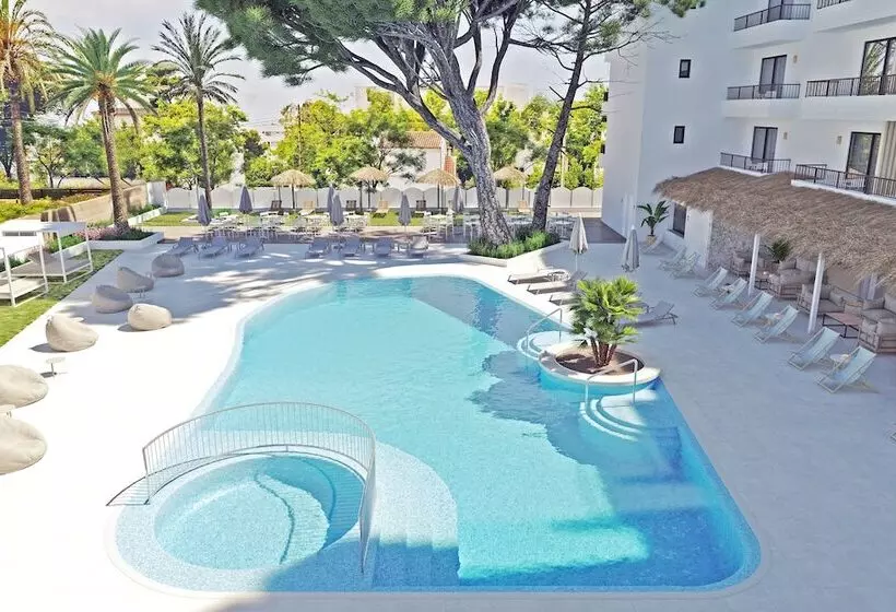 Fotos del hotel Hsm Venus Playa:  9