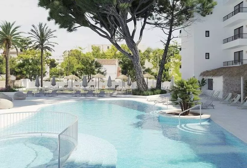 Fotos del hotel Hsm Venus Playa:  17