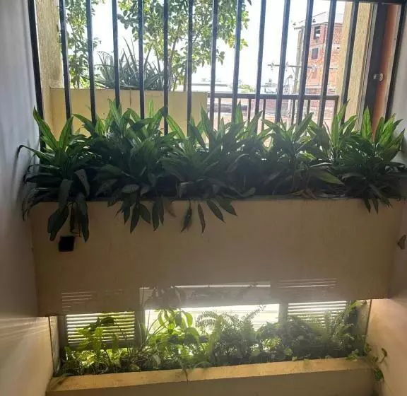 Fotos del hotel Sulicam:  5