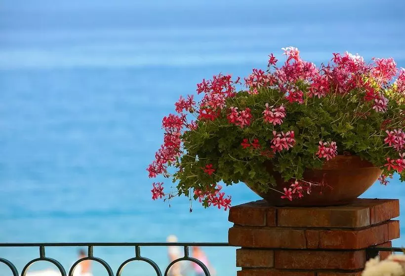 Fotos del hotel Caparena:  74