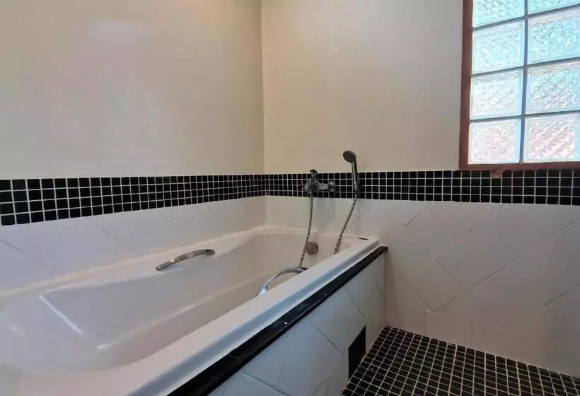 Fotos del hotel Holiday Villa:  9