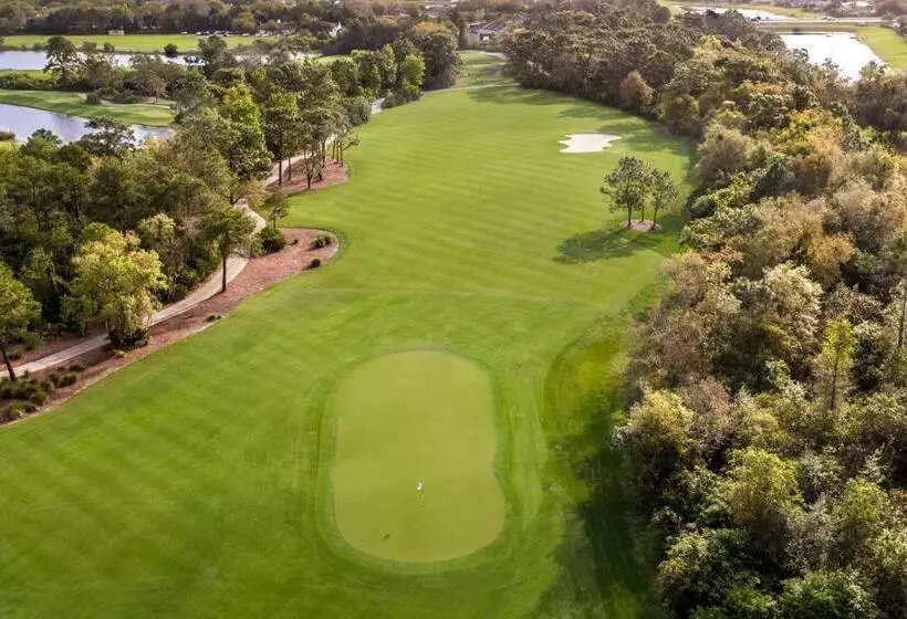 Fotos del hotel The Ritz-carlton Orlando, Grande Lakes:  25