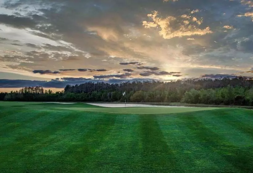 Fotos del hotel The Ritz-carlton Orlando, Grande Lakes:  13