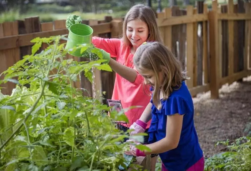 Fotos del hotel The Ritz-carlton Orlando, Grande Lakes:  5
