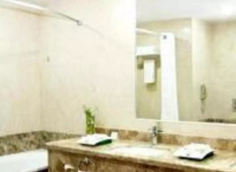 Fotos del hotel Holiday Inn Olaya, An Ihg:  11