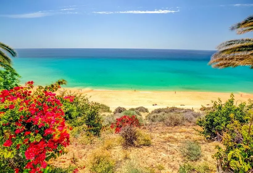 Fotos del hotel Sbh Club Paraiso Playa:  23