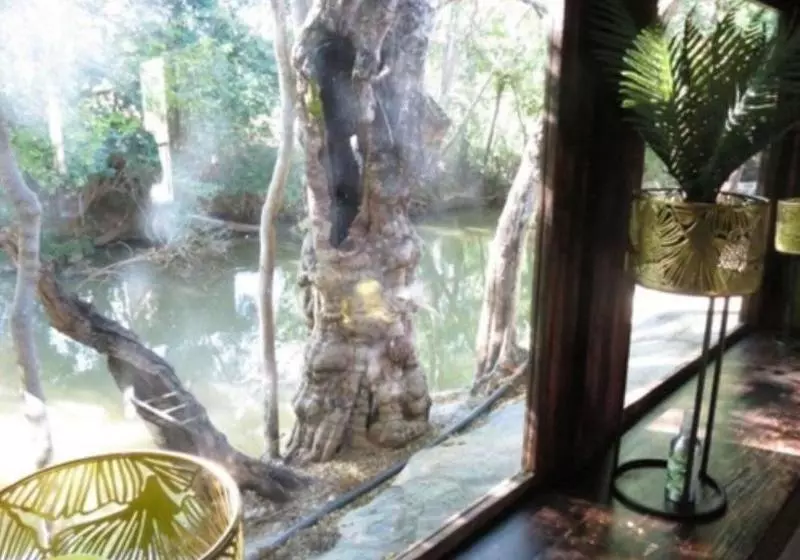 Fotos del hotel Bushmans Rock Country Lodge:  7