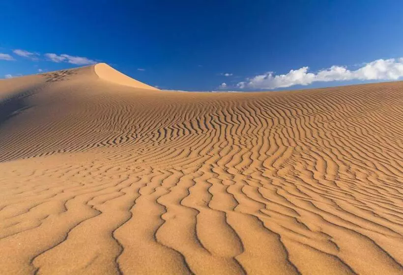 Fotos del hotel Boutique Tao Caleta Mar:  4