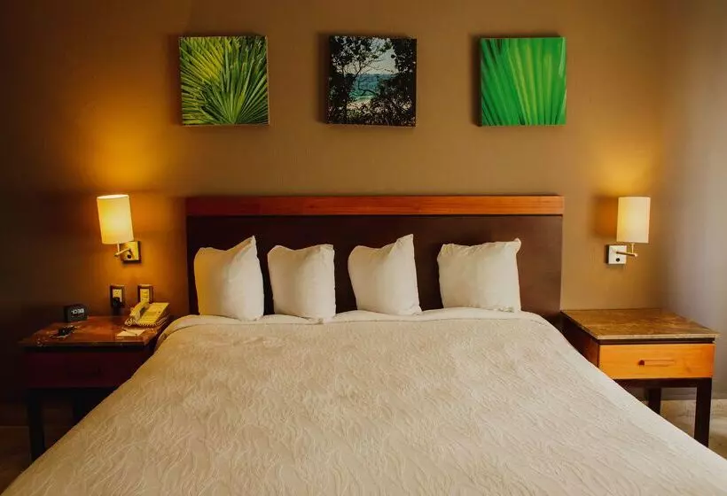 Fotos del hotel Hilton Garden Inn Veracruz Boca Del Rio:  19