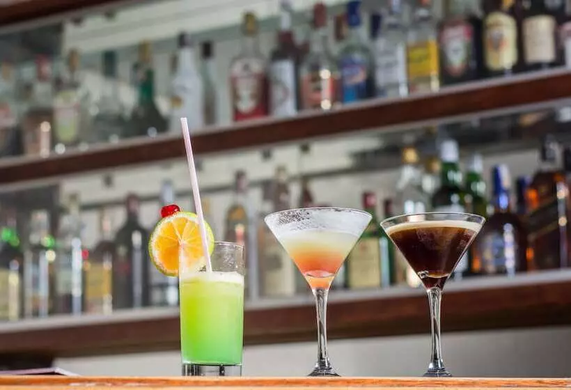 Fotos del hotel San Juan Business São Paulo:  4