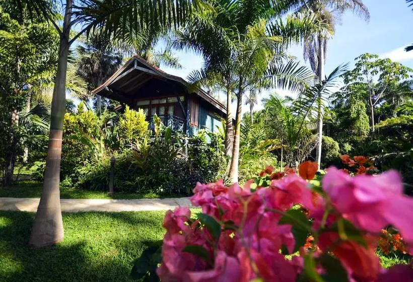 Fotos del hotel Sunset At The Palms Resort - Adults Only - All Inclusive:  13