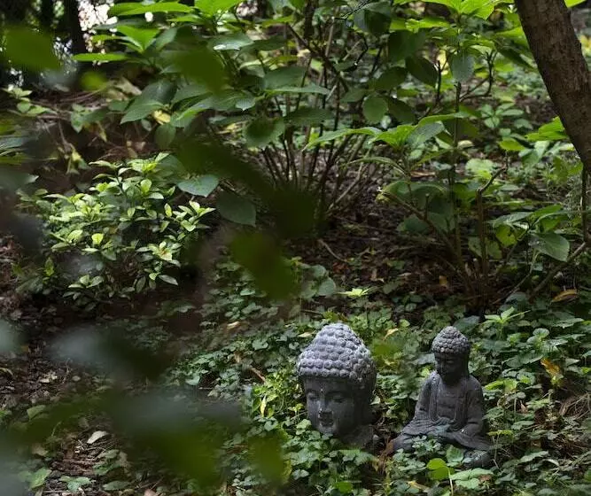 Fotos del hotel Colombia:  12