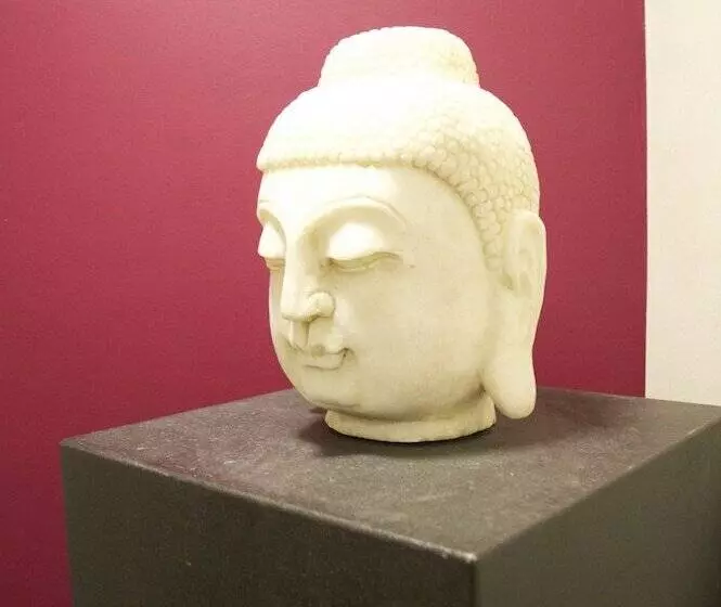 Fotos del hotel Colombia:  7