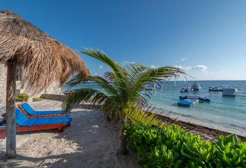 Fotos del hotel Dos Playas Faranda Cancún:  20