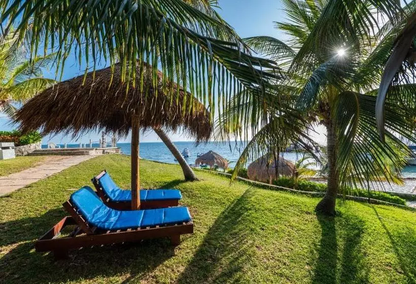 Fotos del hotel Dos Playas Faranda Cancún:  25